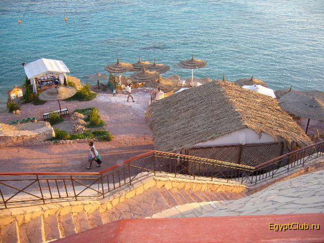 ��� �� ��� �� ����� ������ � ������