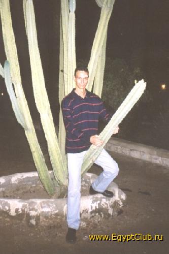 ������ � ��������