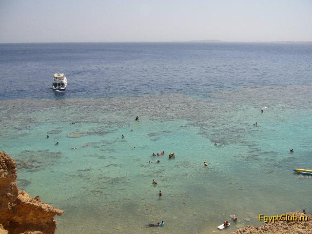 �������� ��� ������