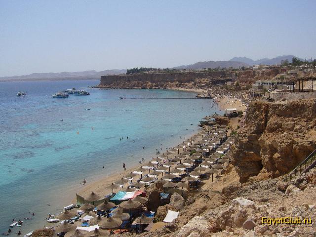 ���� ������