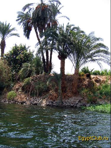 ������, ���, ���� � 