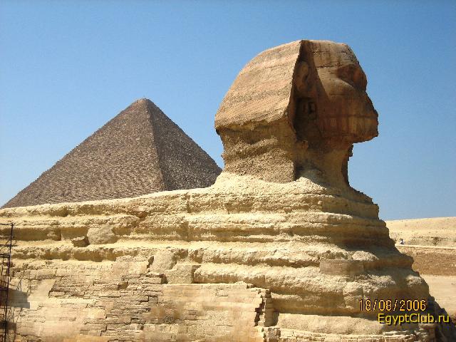 ������ ������