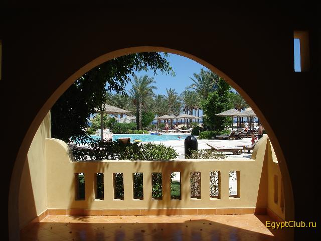 ����� ������