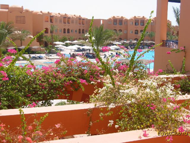 ���������!