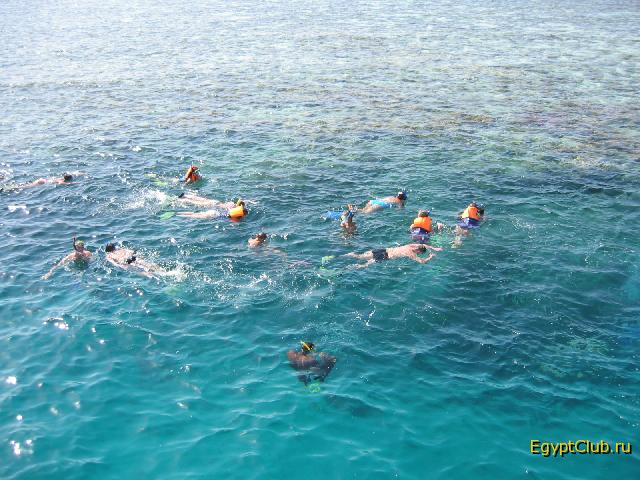 ���������� ����