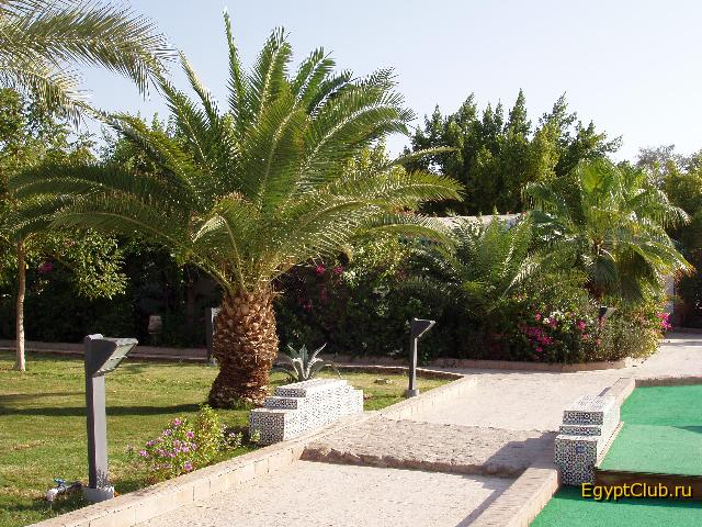 ���������� ����� ������