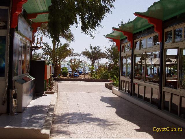 ������ �� ����