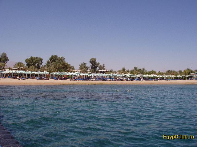 ��� ����� � �������