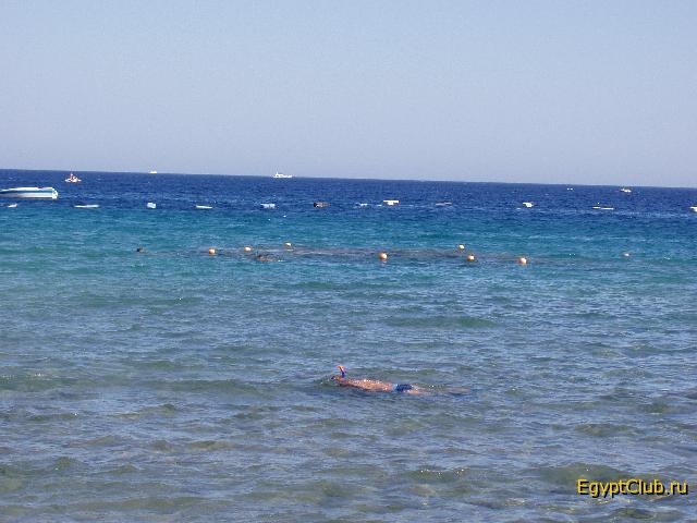 ��� ������