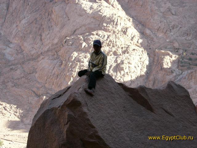 ���� ���