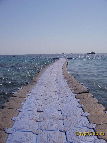 ������ ������