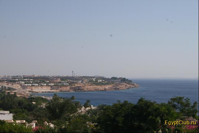 ��� � �������. �����