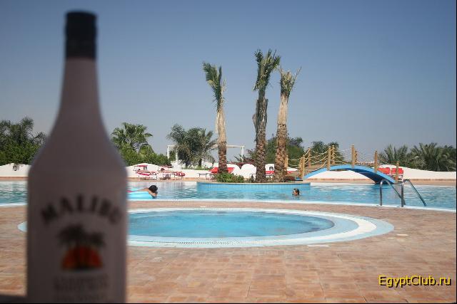 �������. �����