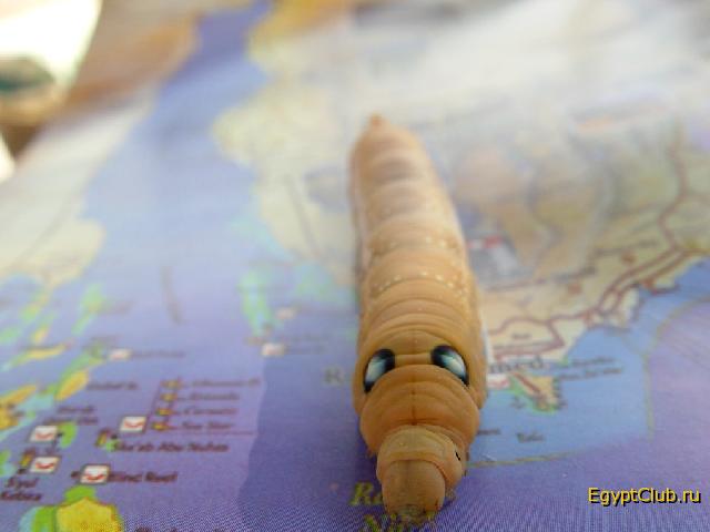 ����- �� �����