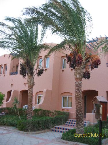 ��������� ������