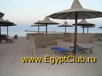 Magic Life 5* (������ ����) (������, ���� ��� ����)