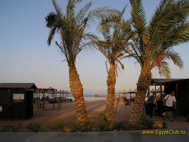 Magic Life 5* (������ ����) (������, ���� ��� ����)