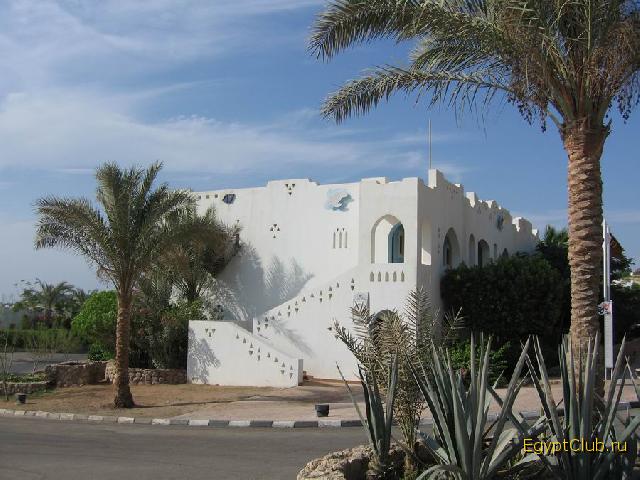 ������ 47 �� ������� ���-������