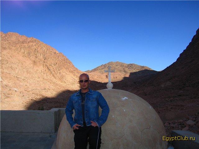 ������....�