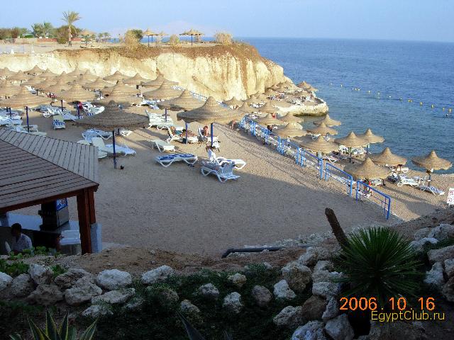 ����� ����