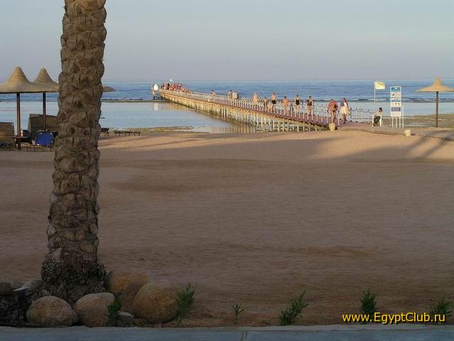 Magic Life 5* (������ ����) (������, ���� ��� ����)