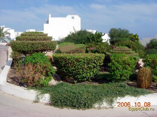 ��������� ������ ��������� �����������