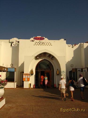 ���� � �������� Coral