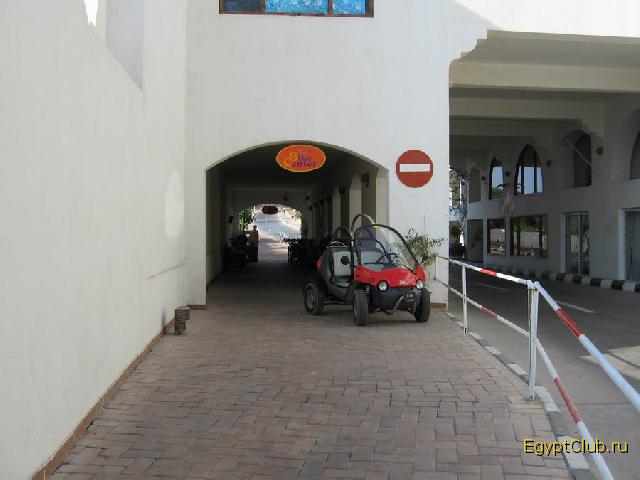 ������ �����������