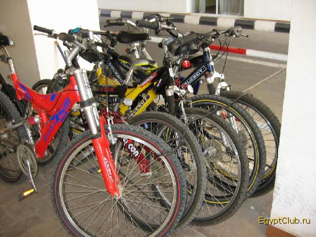 ������ �����������