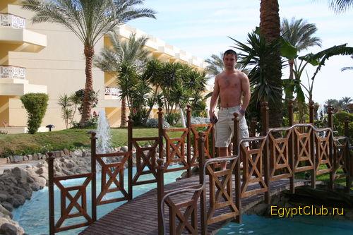 ������ � �����.