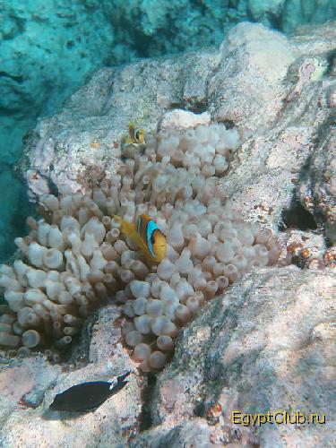 ���� � �����!