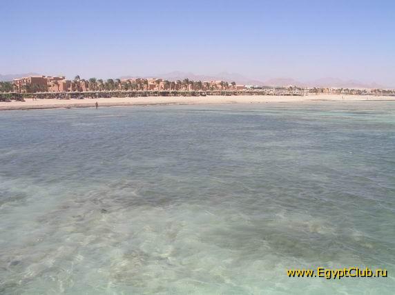 Magic Life 5* (������ ����) (������, ���� ��� ����)