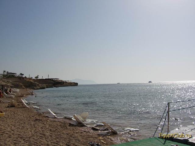 ���� �������