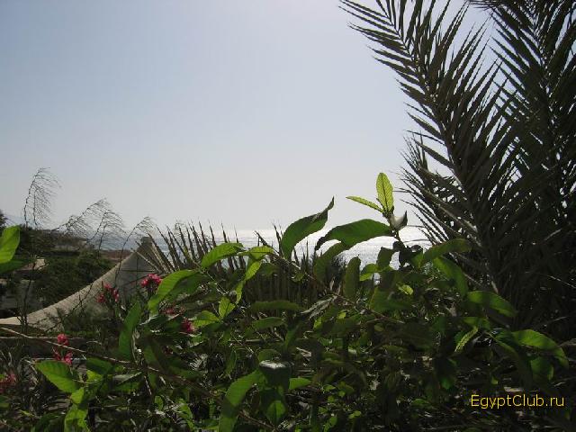 ��� �� ����