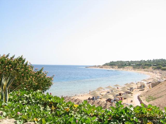 ����������� ����