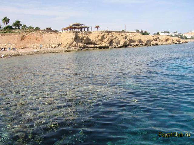 ��� �� Bahia Bar � ������������ �������