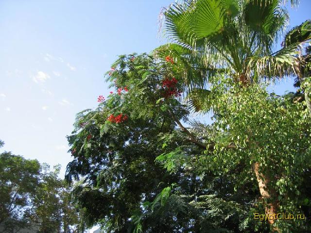 �������������� � �����