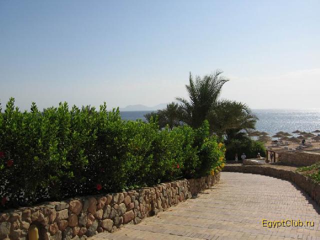 ������� � �����