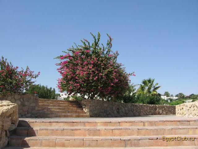 ����� � King's lake