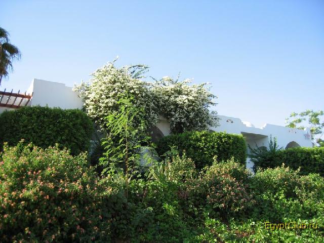 ���� �� �������� �����