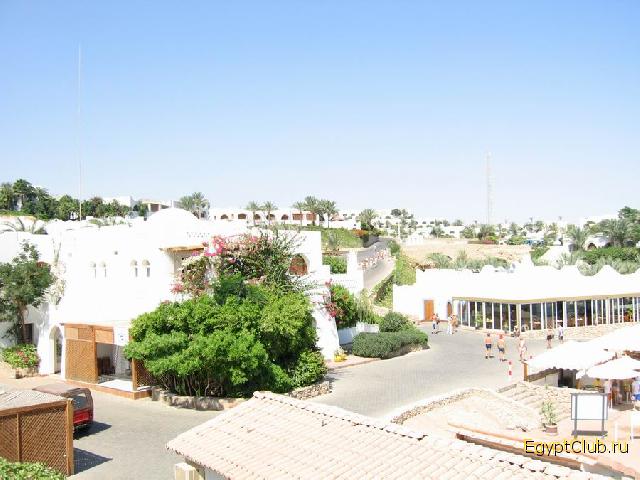 �������-����� � �������� El Wadi