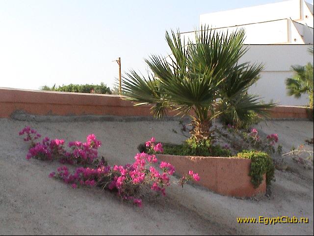 � �� ������ ������ ������� (�)