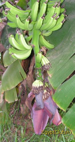 ������ � �����!