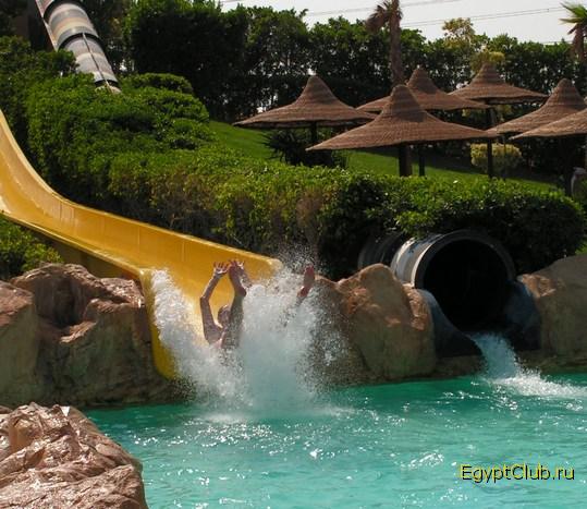 ����� ��������� �������