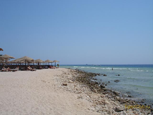 ����� ������