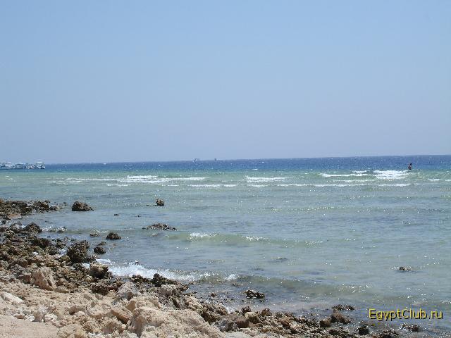 ����� ������