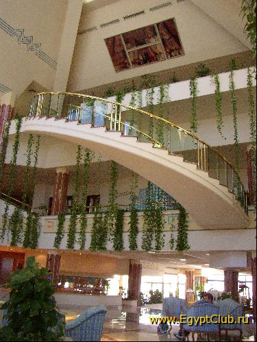 ���� ����� ����� ������