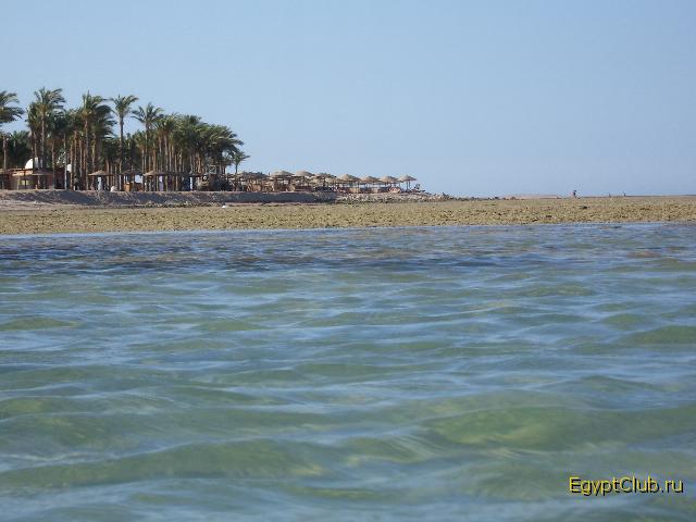 ����� ������