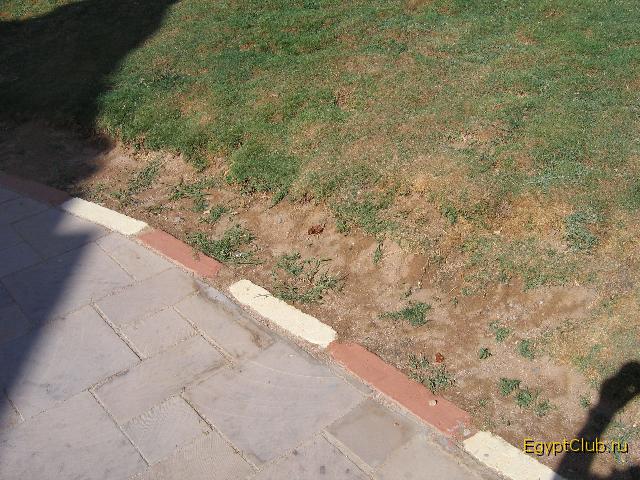 ���������� �������