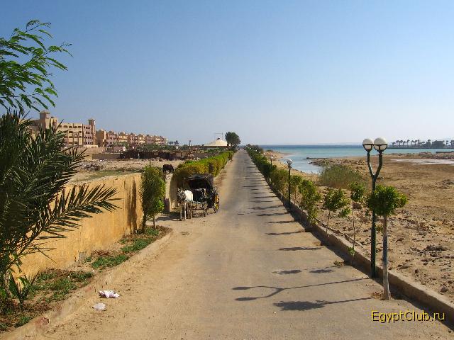 ������ �� ����